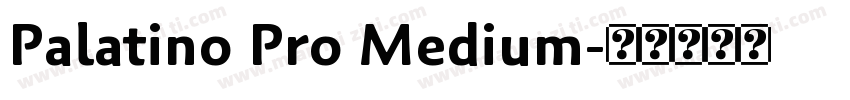 Palatino Pro Medium字体转换